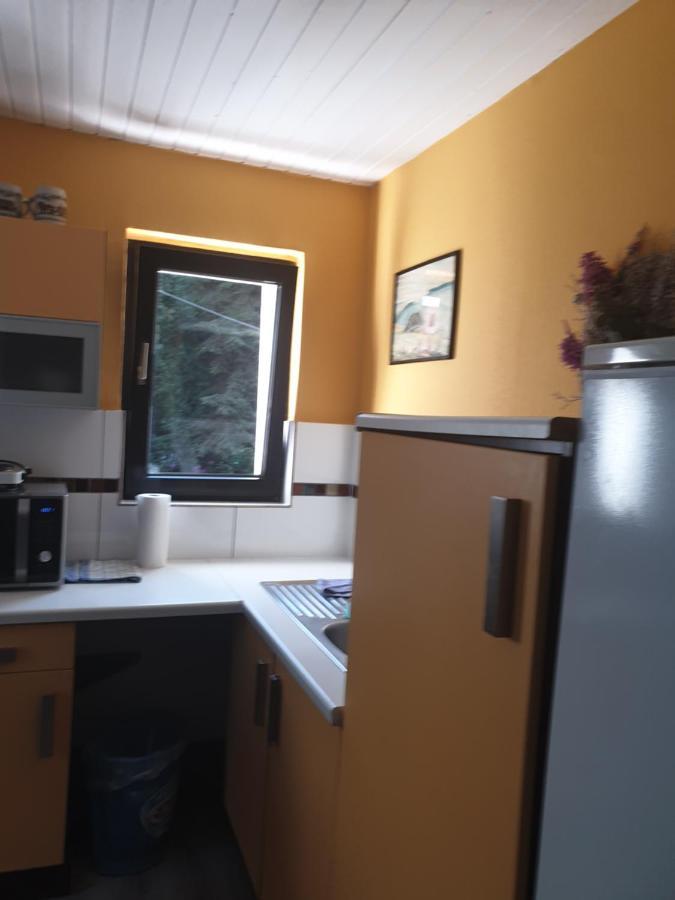 Ferienwohnungen Lemberg Хаген Екстериор снимка
